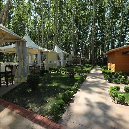 Menada Tarsis Sunny Beach
